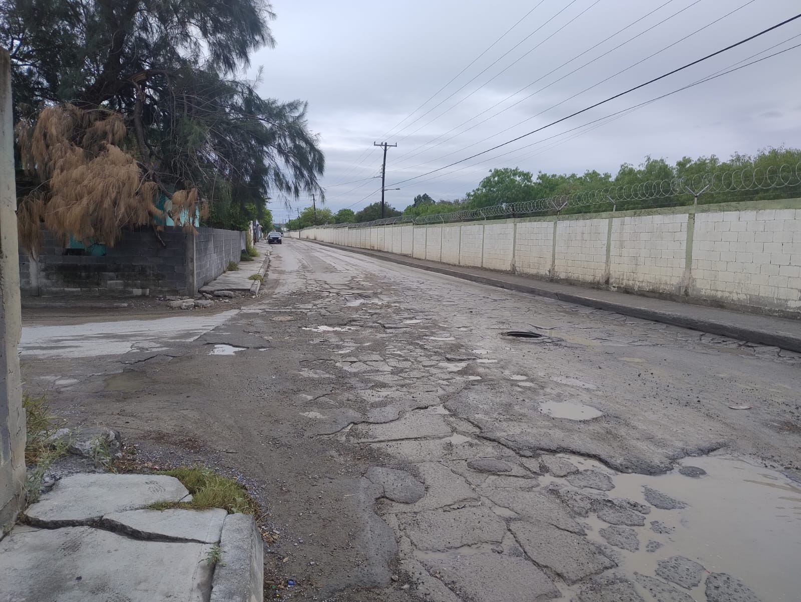 Imagen de la obra